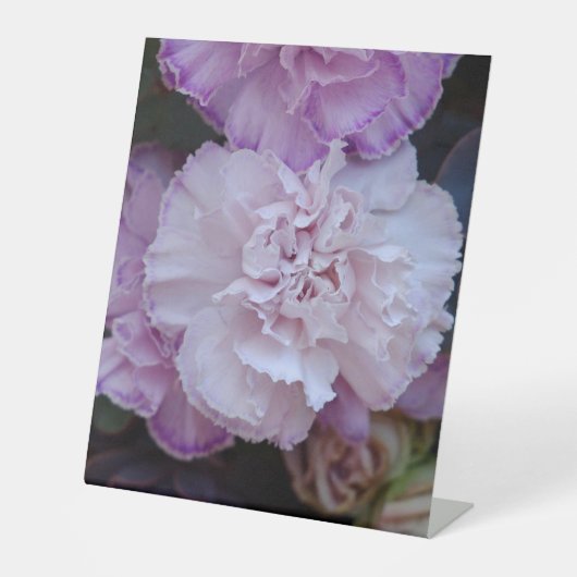 Signe De Table Fleurs (Recto)