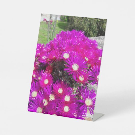 Signe De Table Fleurs violettes (Recto)