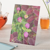 Signe De Table Flowers Photo (In SItu)