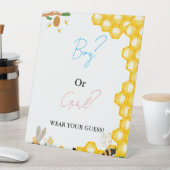 Signe De Table Garçon ou fille Portez votre devinette jeu de baby (In SItu)