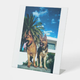 Signe De Table groupe german shepherd