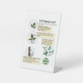 Signe De Table Identifier Poison Ivy Plantes Randonnée, camping,  (Recto)