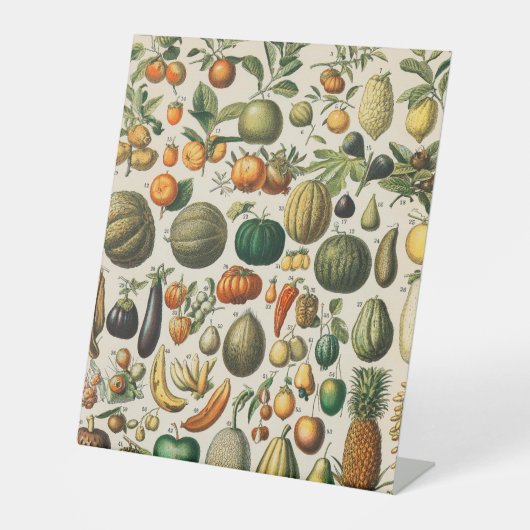 Signe De Table Illustration scientifique végétale des fruits (Recto)