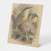 Signe De Table Illustration vintage de Nuthatch (Recto)