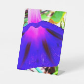 Signe De Table Joli floral (Recto)