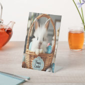 Signe De Table Le lapin de Pâques avec ses oeufs. (In SItu)