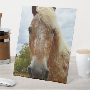 Signe De Table "Le sucre : la grâce de l'Appaloosa"