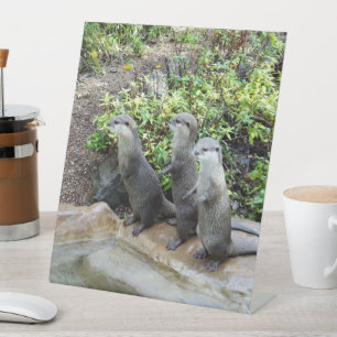Signe De Table Les trois mousquetaires : Trio de petites loutre g