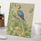 Signe De Table Macaw Blue Jaune Tropical Jungle Antique (In SItu)