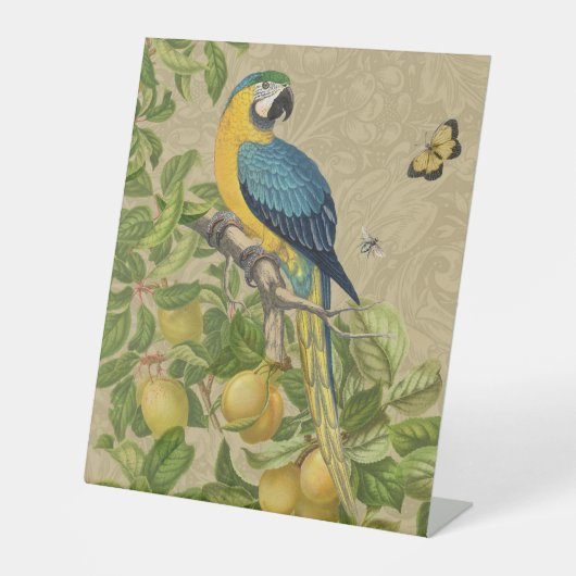 Signe De Table Macaw Blue Jaune Tropical Jungle Antique (Recto)