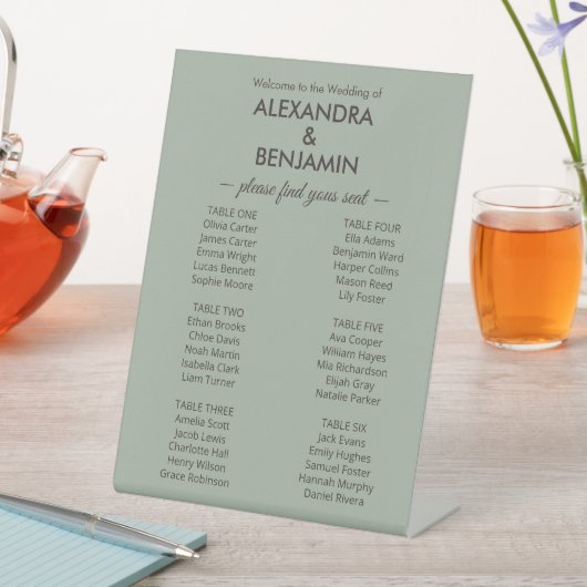 Signe De Table Modern Minimalist Wedding | Sage Green seating (In SItu)