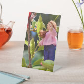 Signe De Table Monarque Papillon de fée de l'art Piédestal (In SItu)