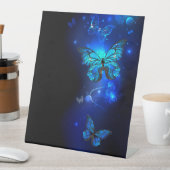 Signe De Table Morpho Butterfly in the Dark Background (In SItu)