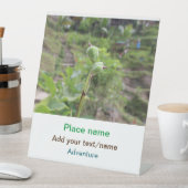 Signe De Table Nature plante photographie plage eau nom de voyage (In SItu)