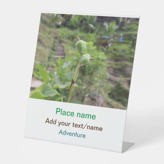 Signe De Table Nature plante photographie plage eau nom de voyage (Recto)