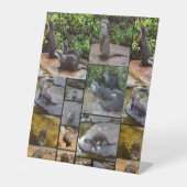 Signe De Table Otter Photo Collage (Recto)