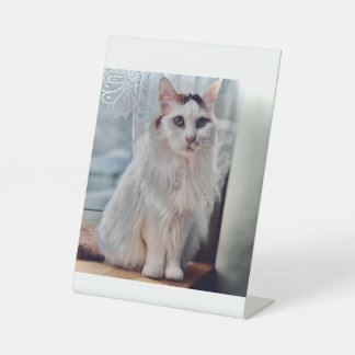 Signe De Table Pédastal de chat