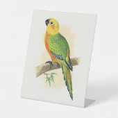 Signe De Table Perroquet, Conure Jendaya, (Recto)