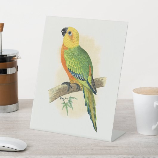 Signe De Table Perroquet, Conure Jendaya, (In SItu)