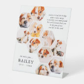 Signe De Table Pet Memorial Modern Simple 10 Photo Collage Card (Recto)