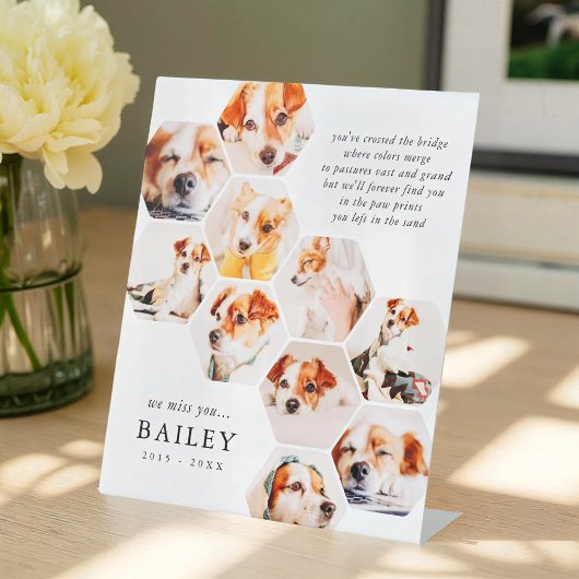 Signe De Table Pet Memorial Modern Simple 10 Photo Collage Card