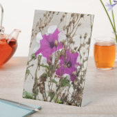 Signe De Table Photo de fleurs violettes (In SItu)