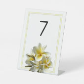 Signe De Table Plumeria Fleurs Mariage Numéro de table permanente (Recto)