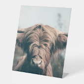 Signe De Table Portrait de vache Highland (Recto)