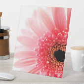 Signe De Table Poster Gerbera Daisy (In SItu)