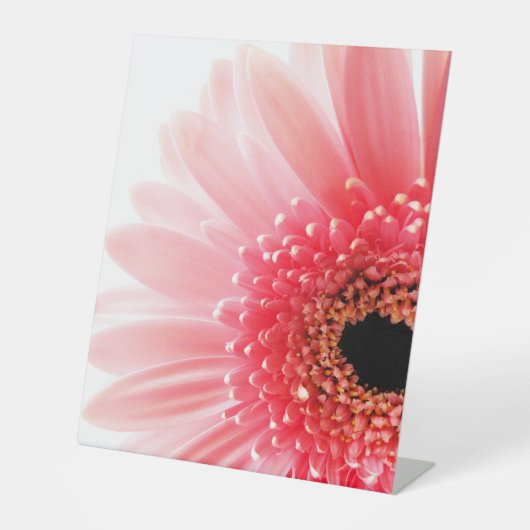 Signe De Table Poster Gerbera Daisy (Recto)
