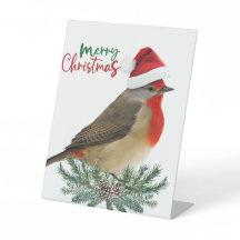 Rendre les esprits brillants