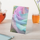 Signe De Table Rose arc-en-ciel (In SItu)