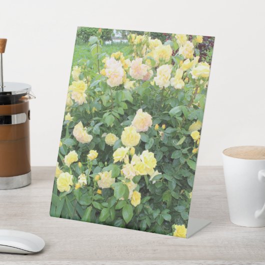 Signe De Table Roses jaunes (In SItu)