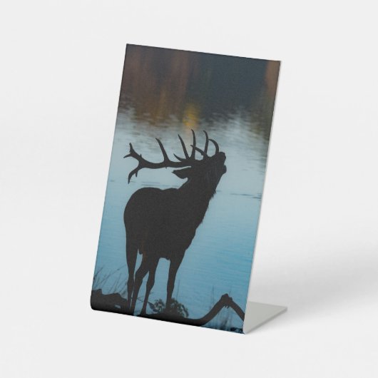 Signe De Table Silhouette d'un cerf à l'aube (Recto)