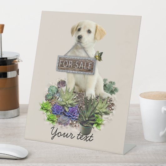 Signe De Table Succulents à vendre (In SItu)