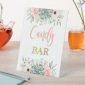 Signe De Table Succulents Candy Bar (In SItu)