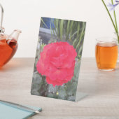 Signe De Table Thiep hoa hong (In SItu)