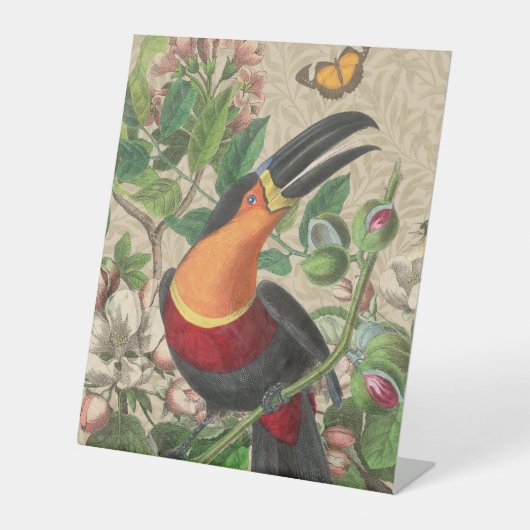 Signe De Table Toucan Jungle Tropical Bird Belle antique (Recto)