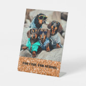Signe De Table Trop Cool Pour L'École Dachshund Gang (Recto)