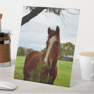Signe De Table "Une ruche de la nature : un cheval de châtaignier