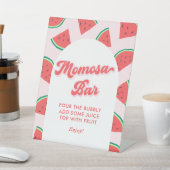 Signe De Table Watermelon Baby shower Momosa Bar (In SItu)