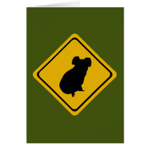 signe routier koala