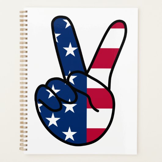SIGNE USA Flag V (Devant)