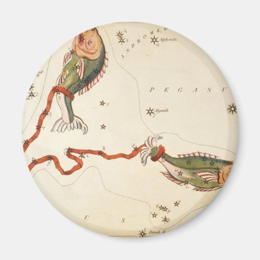 "Signe zodiaque : Poissons" magnet (Devant)