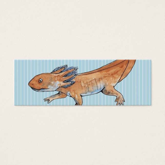 Signet Axolotl (Devant)