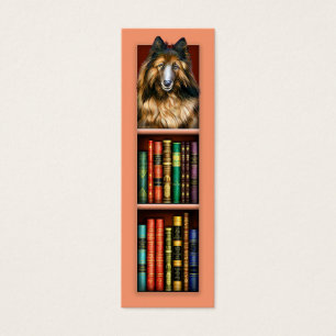 Signet belge Tervuren Apricot