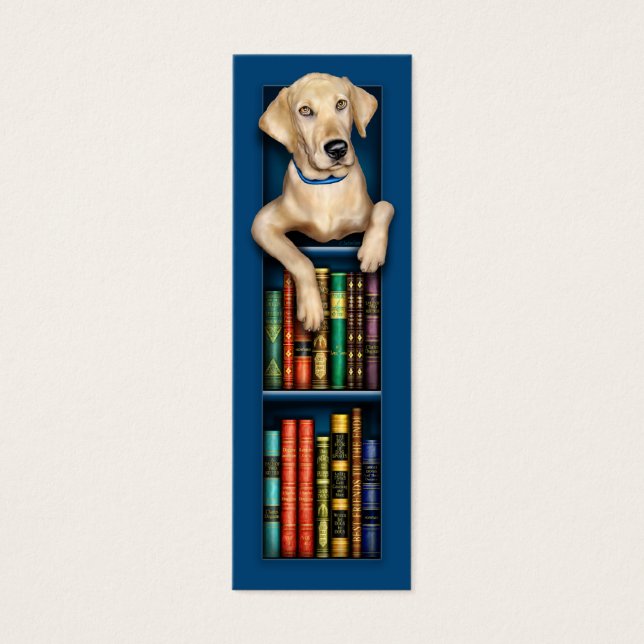Signet bleu Labrador Retriever (Devant)