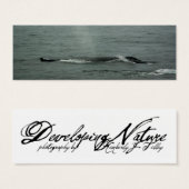 Signet de baleines à bosse (Devant & derrière)