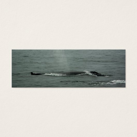 Signet de baleines à bosse (Devant)