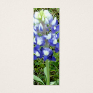 Signet de Bluebonnet
